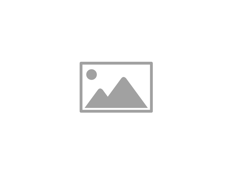 Media Gallery